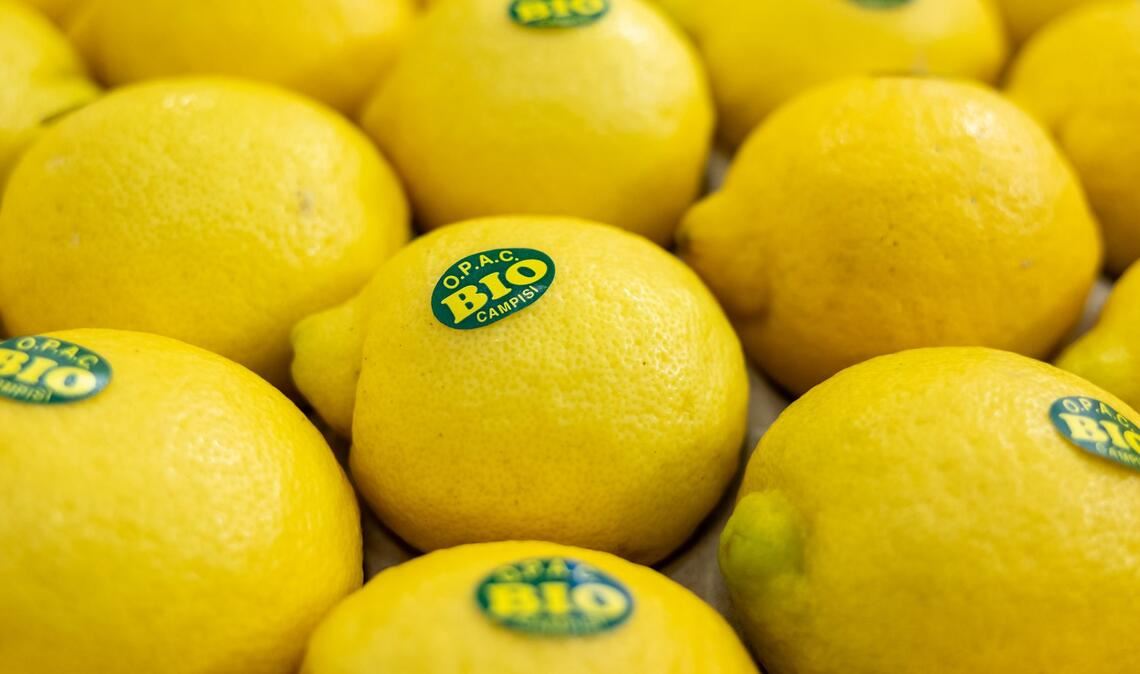 In Nürnberg eröffnet die weltweit größte Messe der Biobranche. Produkte aus nachhaltigem Anbau boomen. (Archivbild)