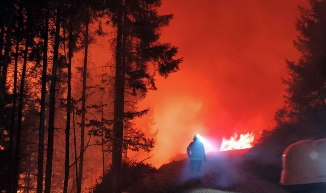In Österreich steht eine Fläche von 110 Hektar in Flammen.