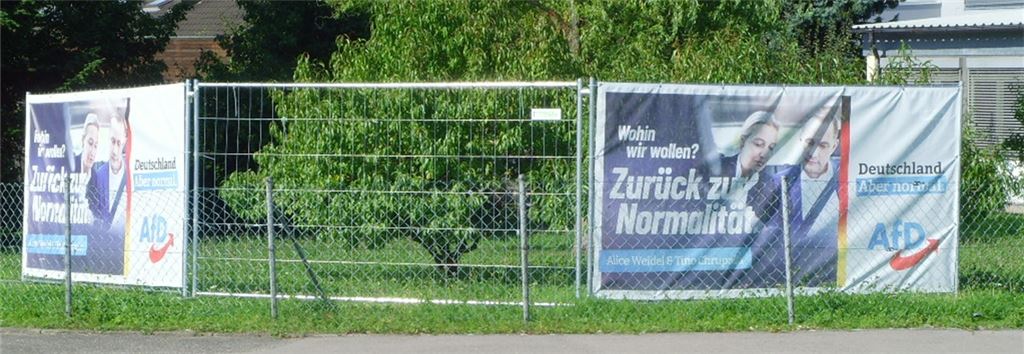 In Ötisheim fehlen Wahlplakate. Foto: privat