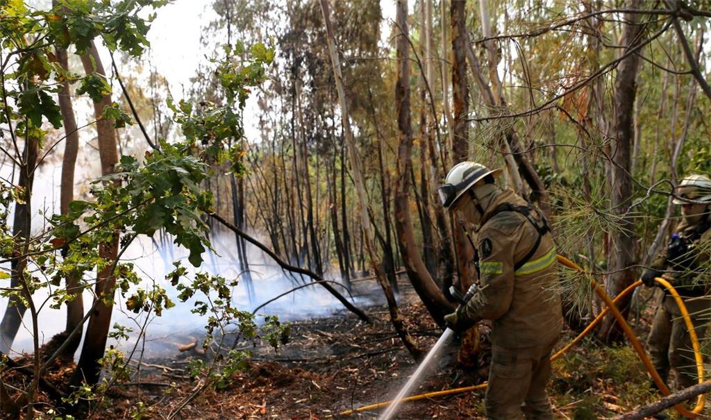 In Portugal gibt es eine leichte Entspannung bei den schweren Waldbränden. Noch aber sind rund 1.400 Feuerwehrleute im Einsatz.