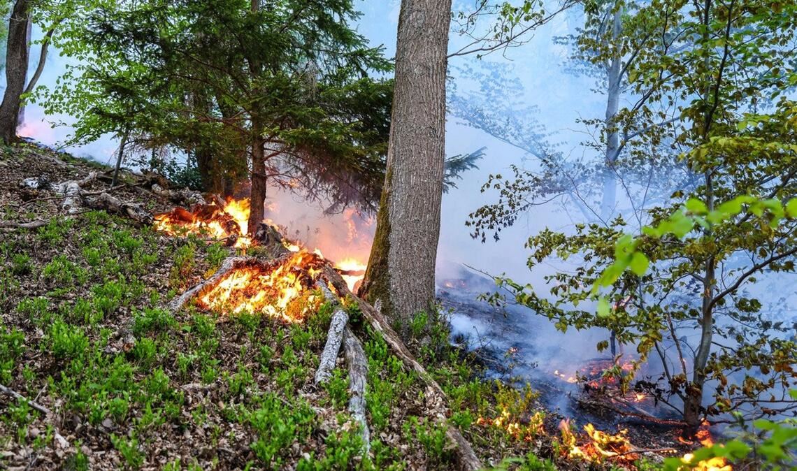 In Werdohl näherten sich die Flammen einer Wohnsiedlung, konnten aber gestoppt werden.