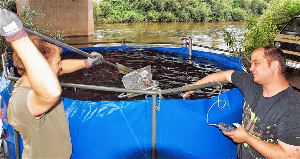 In das Enzwasser wird Kalkmilch eingerührt und der ph-Wert gemessen.