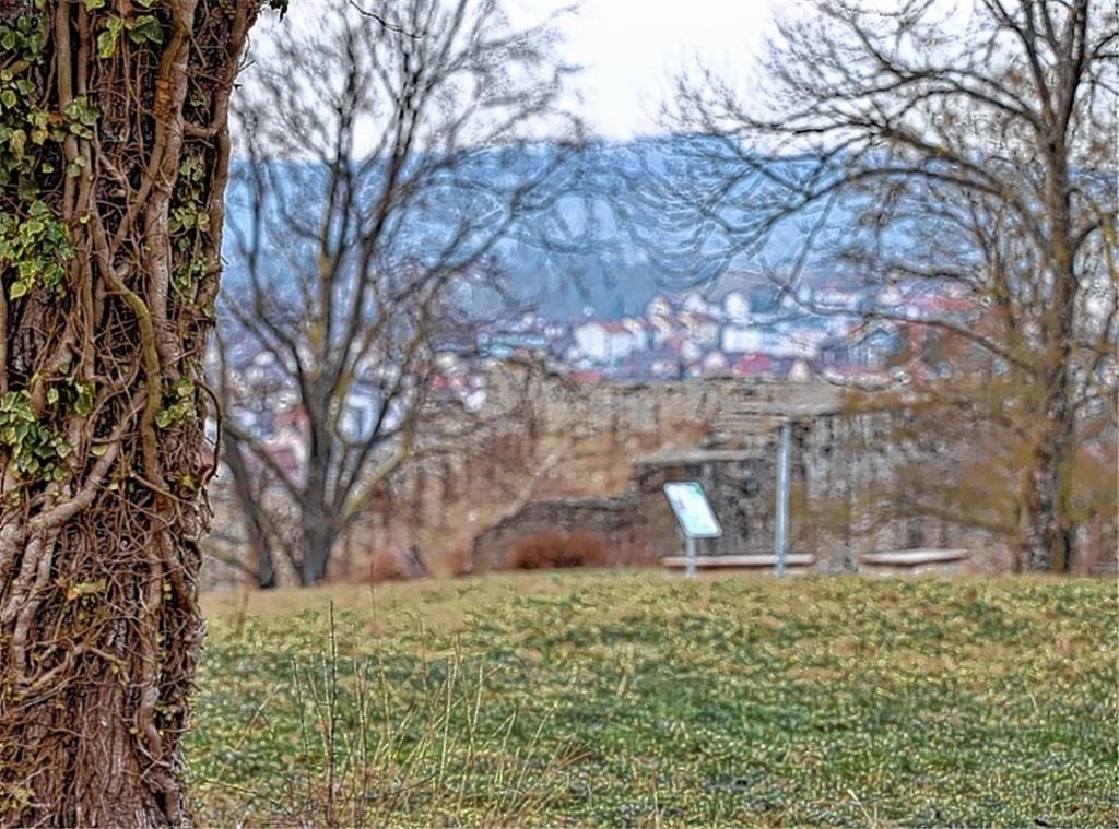 Applaus für das Arboretum