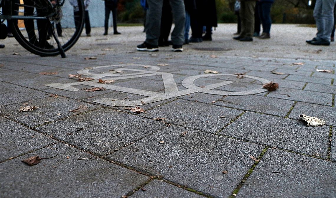 In den Enzgärten in Mühlacker geraten sich Radler und Fußgänger häufiger ins Gehege. Fotos: Eier