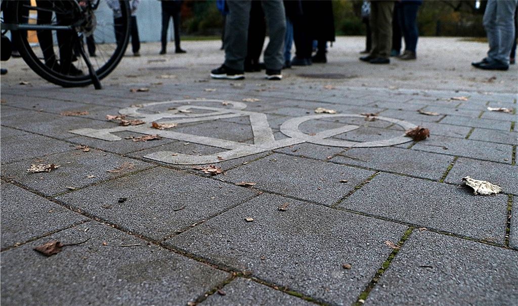 In den Enzgärten in Mühlacker geraten sich Radler und Fußgänger häufiger ins Gehege. Fotos: Eier