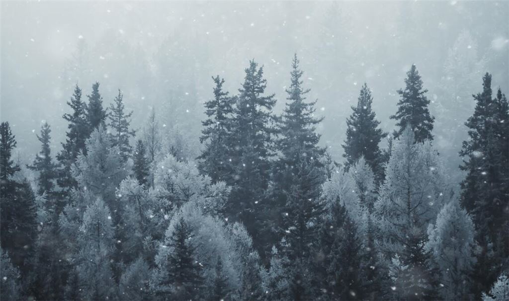 In den Hochlagen kann es am Wochenende schneien.