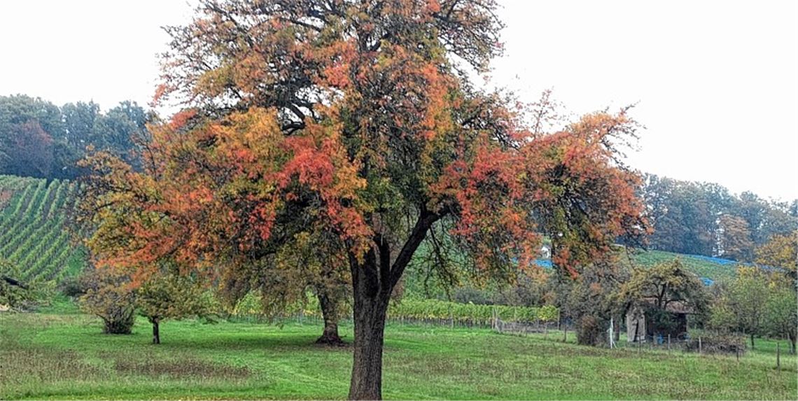 Herbstfarben Herbstfarben