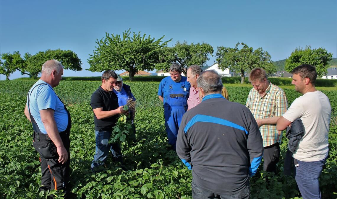 Frühkartoffeln sind dieses Jahr etwas später dran In den Startlöchern stehen die „tollen Knollen“, wie einige Landwirte aus dem Enzkreis bei einer Felderbegehung in Remchingen zusammen mit Anbauberater Heiko Höllmüller (2.v.li.) und Michael Mauer vom Landwirtschaftsamt (re.) feststellen. Foto: Zachmann