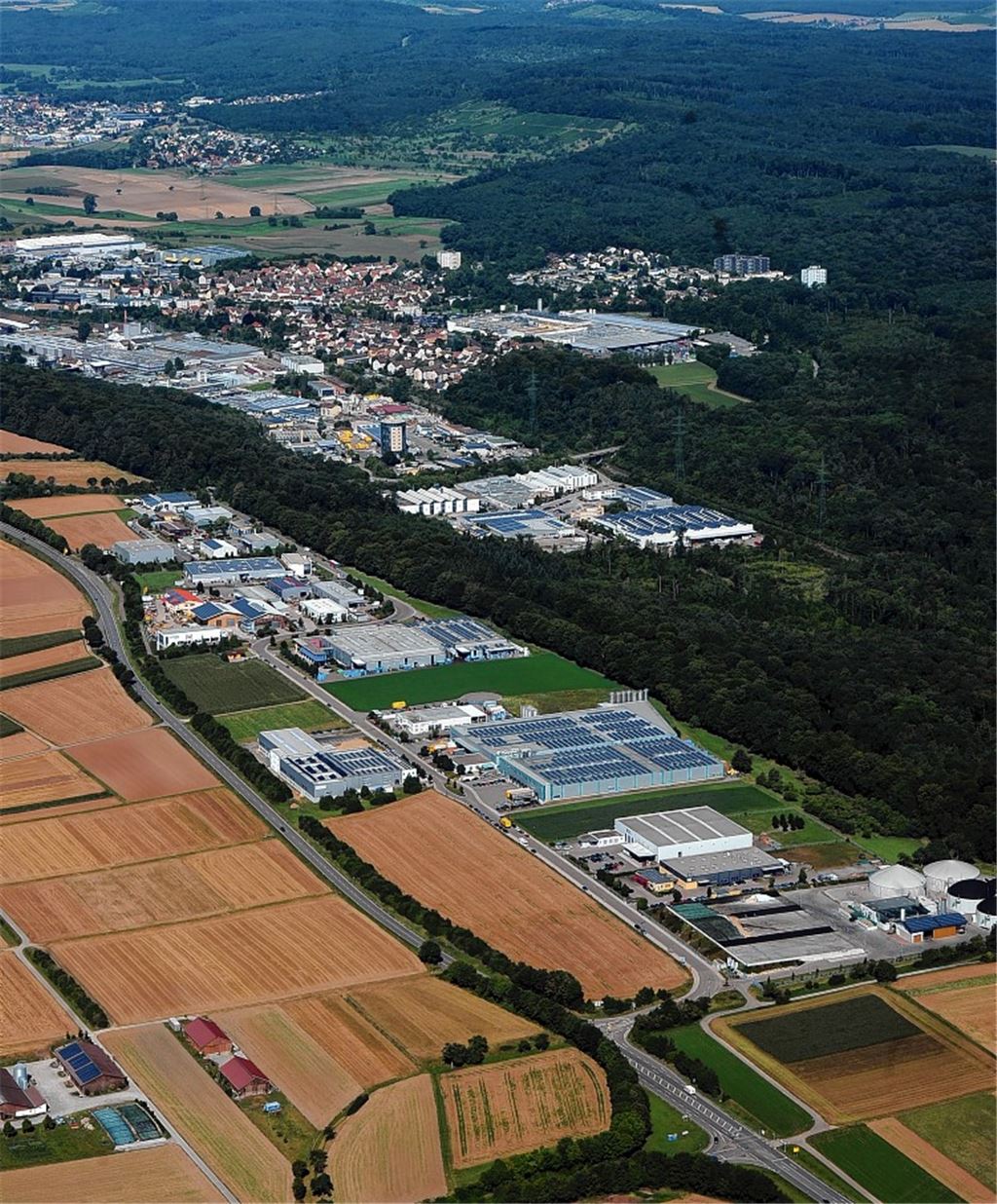 In den Waldäckern wird es eng. 