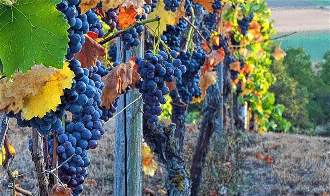 Herbstfarben