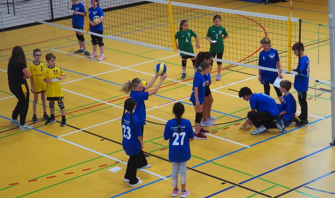 In der Lindach-Sporthalle steppt beim Bambini-Volleyballturnier der Bär. Die Abteilung des TV Mühlacker legt sich mit Eltern für die jungen Teilnehmenden ins Zeug. Fotos: Müller