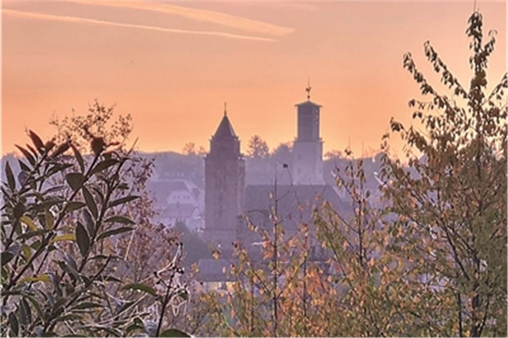In der Mühlacker Kirchenlandschaft – Bild oben die Türme der Herz-Jesu- und der Pauluskirche – gibt es eine personelle Veränderung an prominenter Stelle: Der scheidende Dekan Claus Schmidt (li.) und Domkapitular Prälat Dr. Klaus Krämer (re.) gratulieren Dr. David Pankiraj, der noch sein Dienstversprechen vor Bischof Fürst ablegen muss, bevor er die Amtsgeschäfte als Dekan übernehmen darf. Fotos: Eier/Gezener
