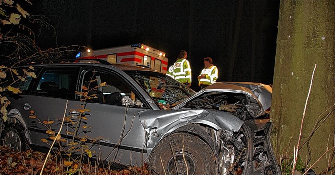 In der Nacht zum Samstag prallte ein 33-jähriger Autofahrer zwischen Dürrmenz und Pinache mit seinem Fahrzeug gegen einen Baum.