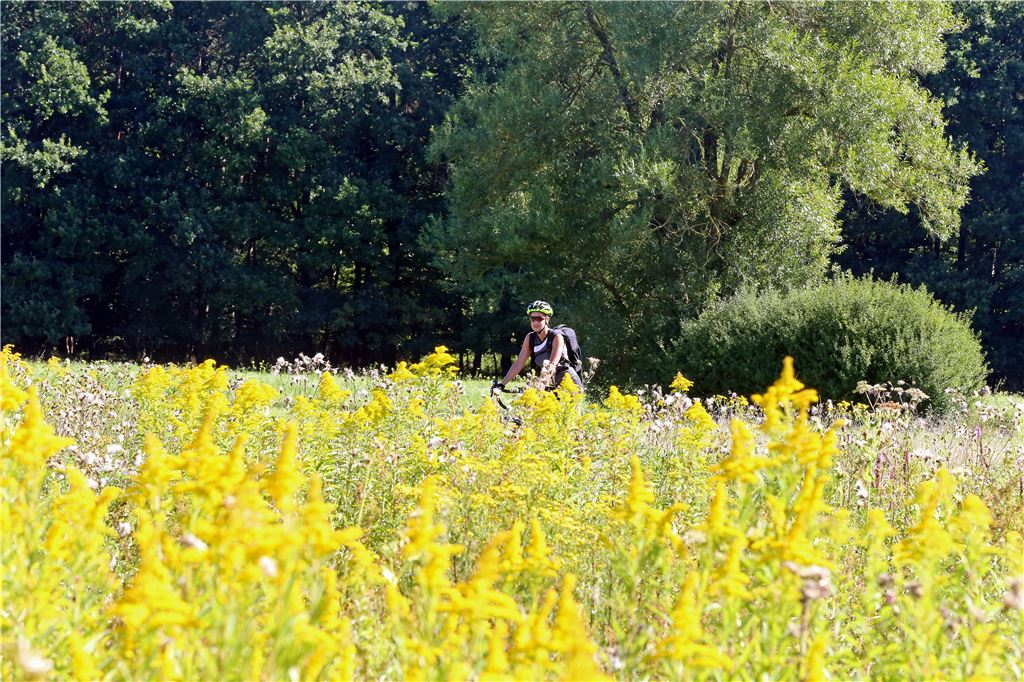 910_0008_115516_fg_Waldenser_Tour_5