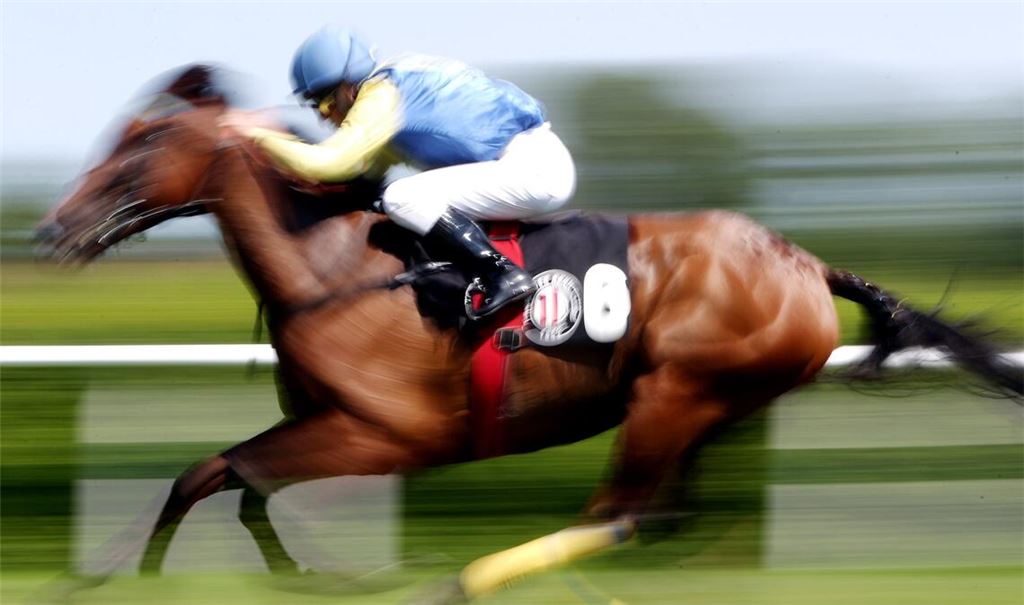 In der Türkei wurde ein ehemaliges Rennpferd in einer Suppenküche verarbeitet (Symbolbild).