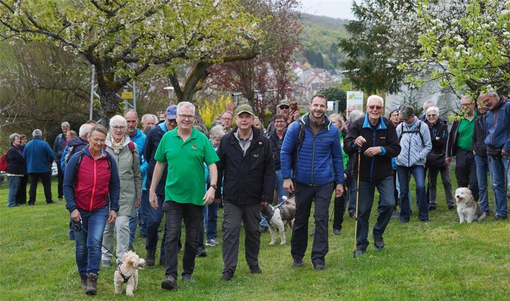 In der blühenden Natur sind die OGV-Wanderer unterwegs, auf den ersten Metern begleitet vom Ersinger Vorsitzenden Stephan Kaufmann (grünes Shirt), dem Verbandsvorsitzenden Jürgen Metzger (Mitte) und Bürgermeister Thomas Maag (rechts daneben). Foto: Roller