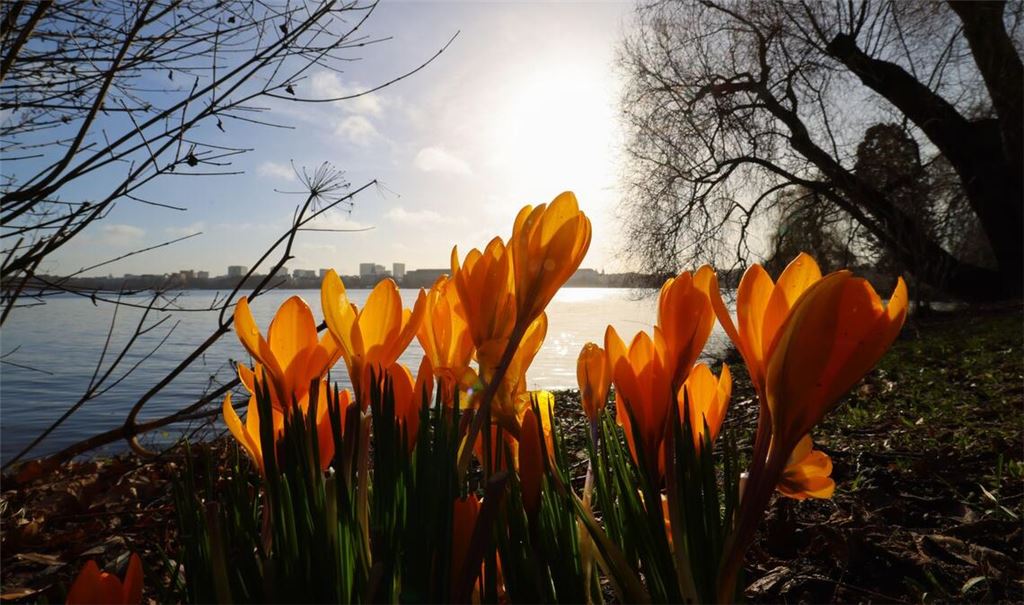 In der nächsten Woche wird es wieder wärmer und sonniger.