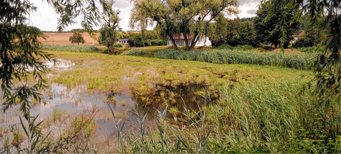 Wullesee: Verein freut sich über Hilfe