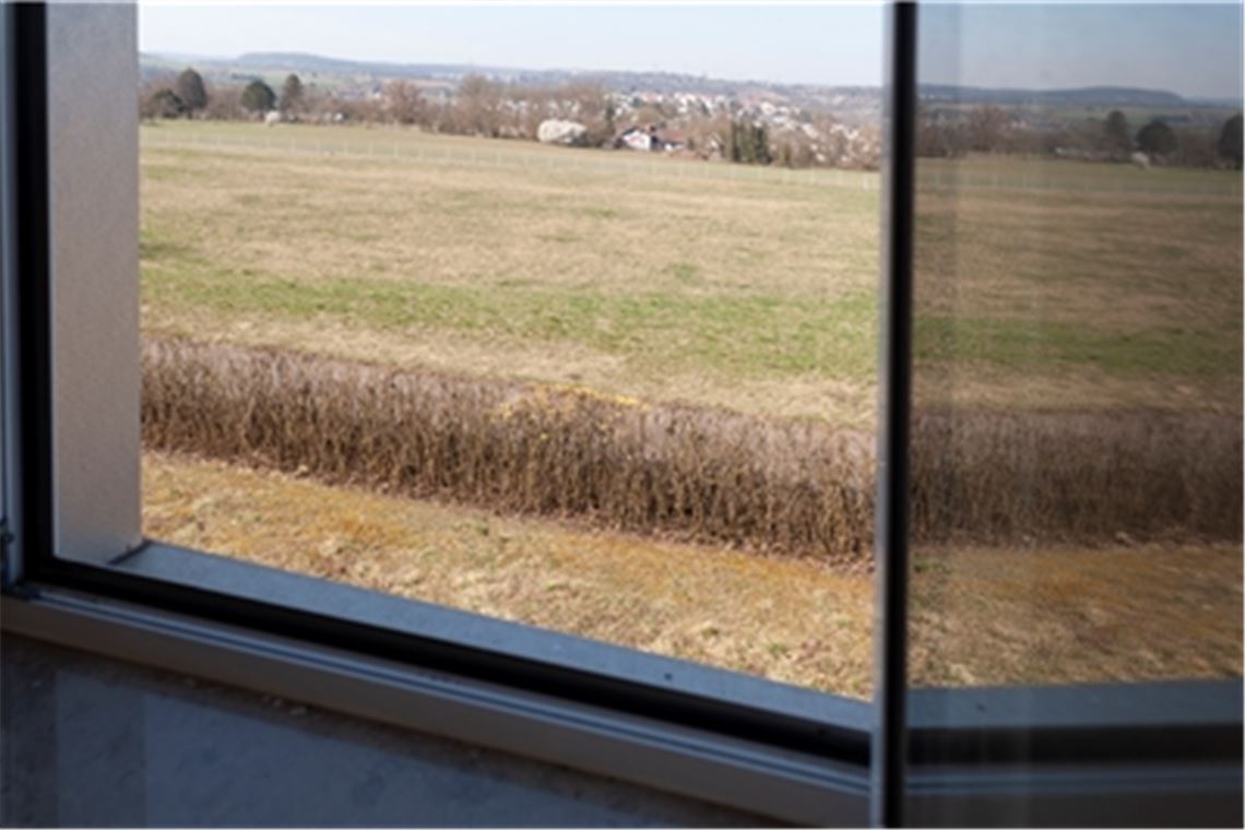 Einstieg in Neugestaltung des Sender-Areals In diesem Bereich des Senderareals soll nach der Planung der Eigentümer des Geländes eine Tiny-House-Siedlung entstehen.Foto: Fotomoment