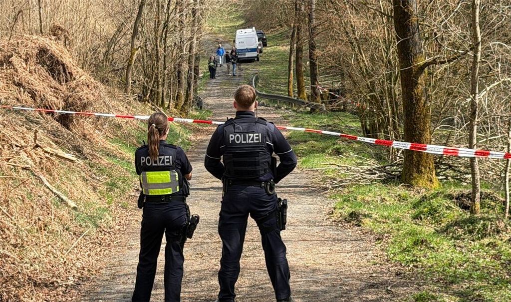 In diesem Waldstück wurde der Kopf der getöteten Frau gefunden. (Archivbild)
