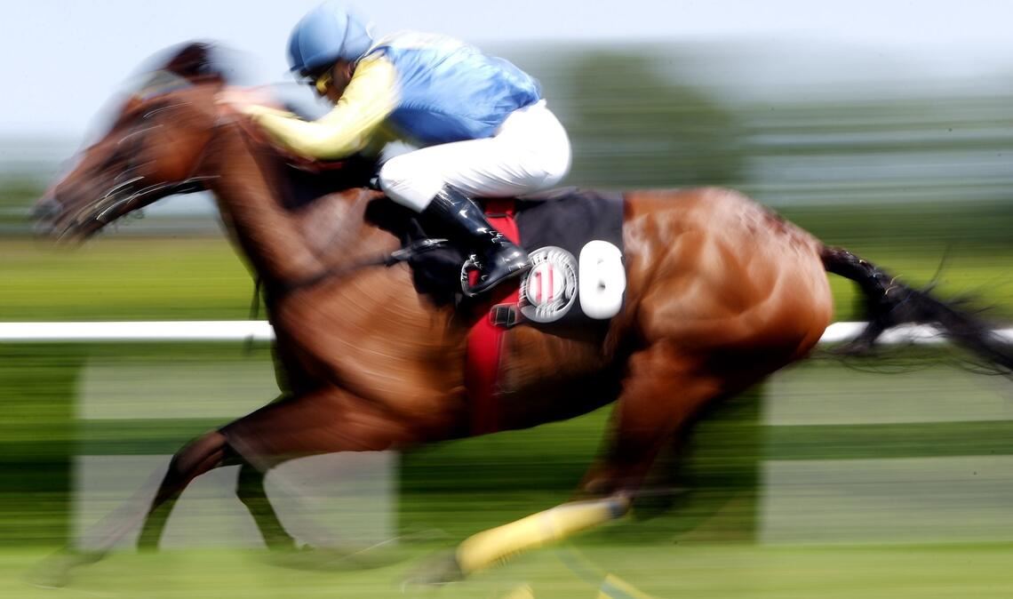 In einer Suppenküche findet ein Gast in seinem Essen den Mikrochip eines ehemaligen Rennpferdes. (Symbolfoto)