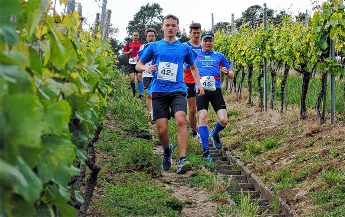 In jeder Runde den ganzen Weinberg rauf – und auch wieder runter. Foto: Deeg
