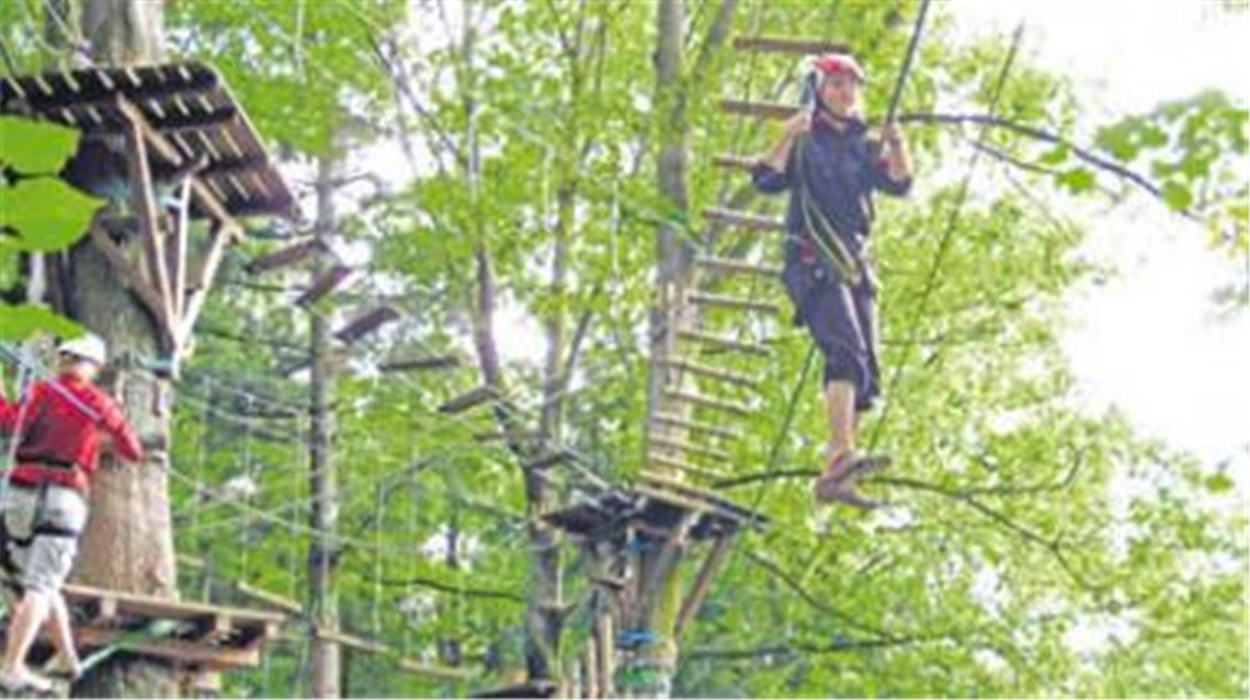 In luftiger Höhe, aber im Klettergurt doppelt gesichert, können Besucher des Illinger Kletterparks bald ihre Koordination üben und Ängste überwinden. Archivfoto: Hansen