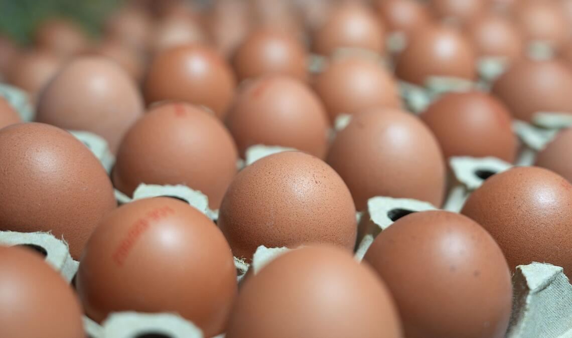 In manchen Lebensmittelläden sind sie gerade Mangelware: Eier. (Symbolbild)