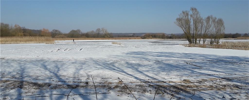 In normalen Zeiten präsentiert sich der Rossweiher – hier eine Szene aus dem Jahr 2018 – auch im Winter ruhig und beschaulich.Archivfoto: Frommer