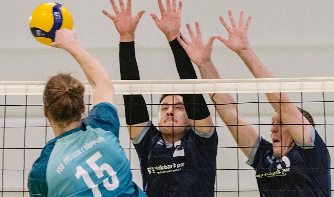 In starker Verfassung präsentieren sich die Ötisheimer Volleyballer vor heimischem Publikum in der Öläckerhalle.