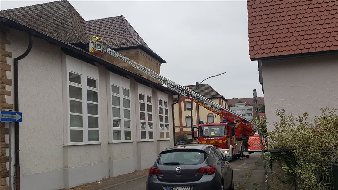 910_0008_198113_an_taubenrettung2