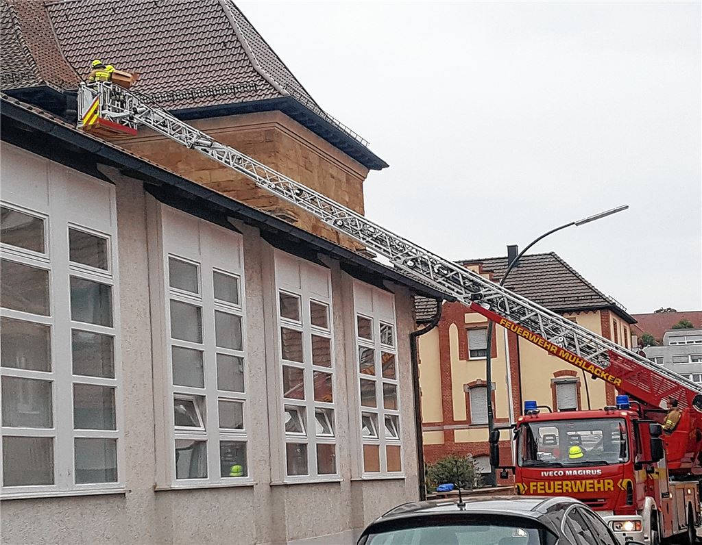 In tierischer Mission ist die Feuerwehr unterwegs und befreit eine Taube aus einem Regenfallrohr an der katholischen Kirche.Schröder