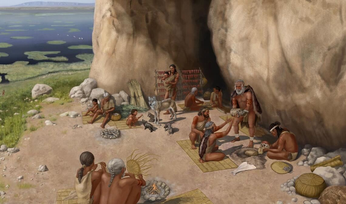 In zwei Studien belegen Forscher die weite Verbreitung der Hunde bereits vor Einführung der Landwirtschaft.