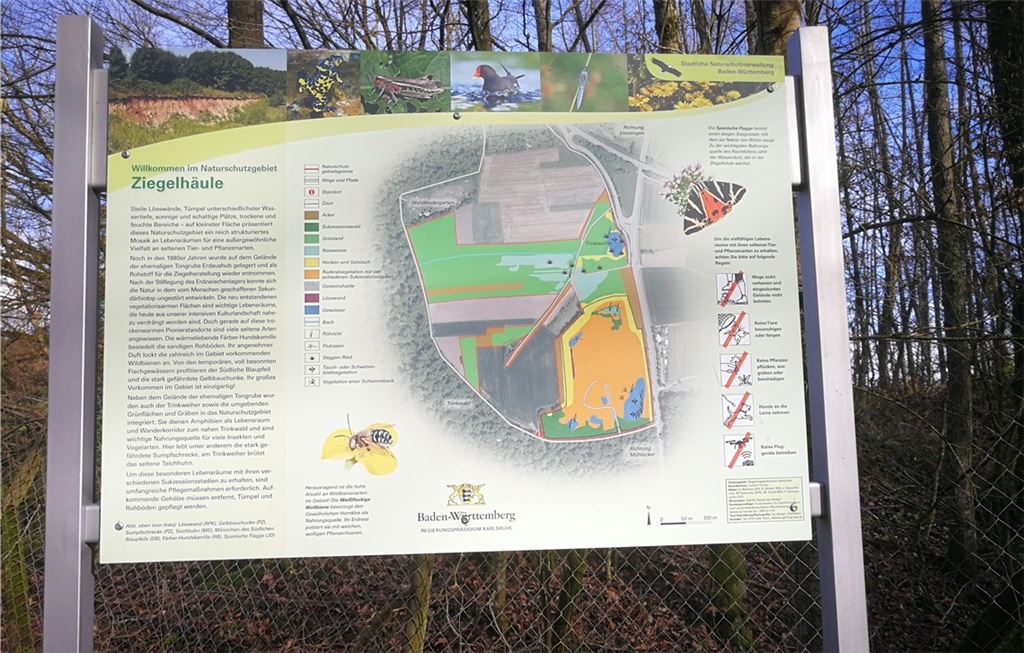 Infotafel zum Lienzinger Naturschutzgebiet „ Ziegelhäule“. Foto: privat