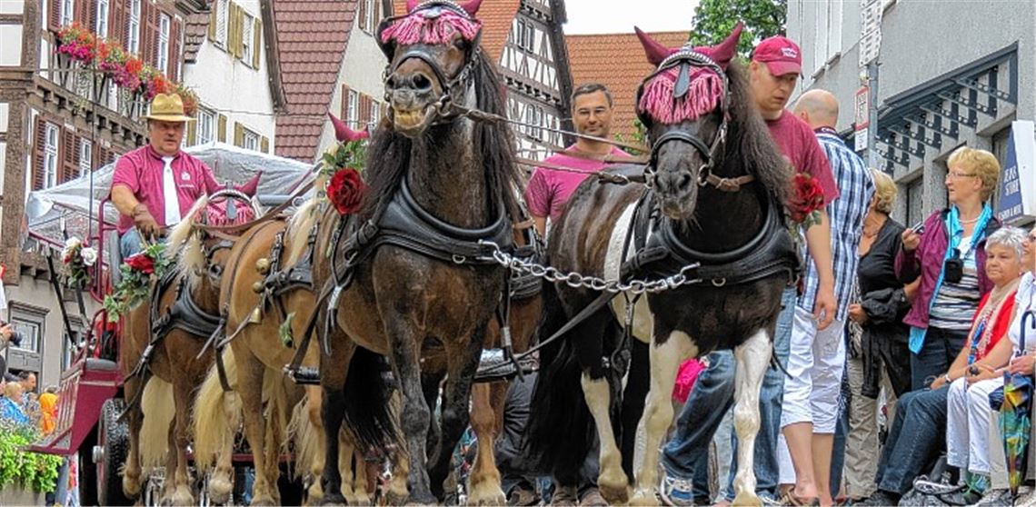 Innenstadt-Events während der Nagolder Gartenschau wie der Pferdetag haben für zusätzliche Höhepunkte gesorgt.Foto: privat