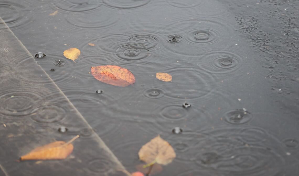 Insbesondere im Norden kam viel Regen herunter. (Archivbild)