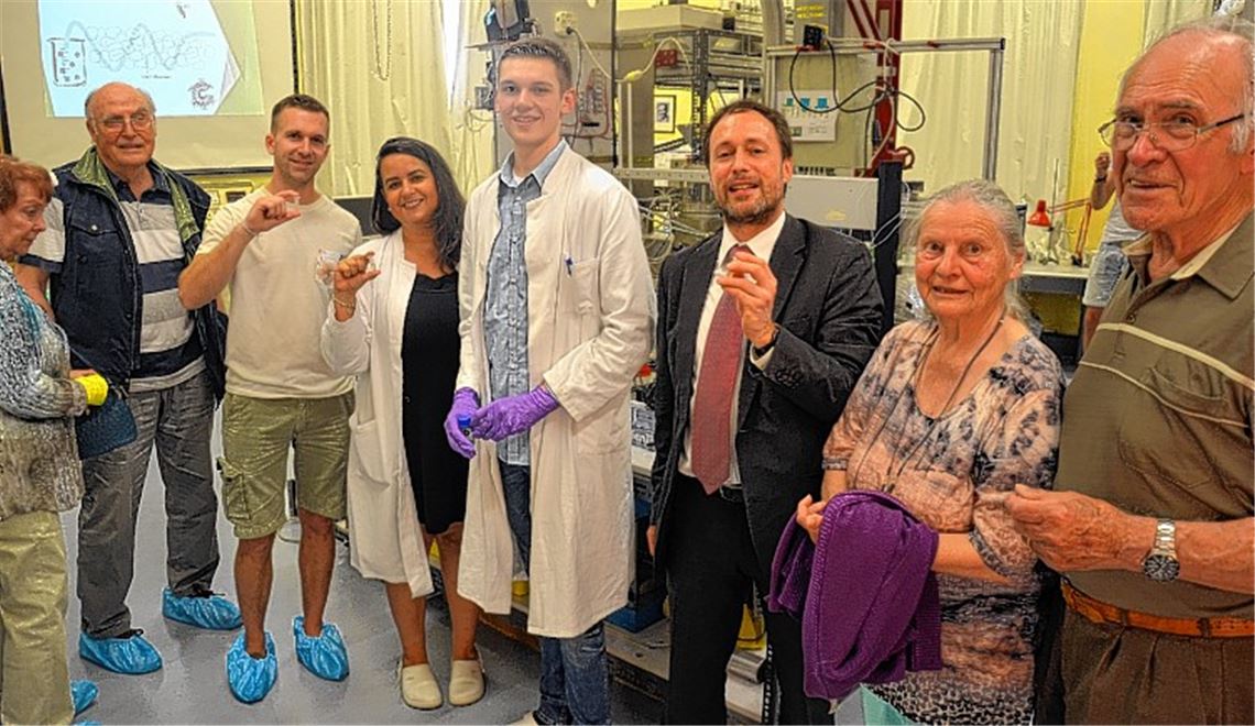 Einblicke in die Misteltherapie