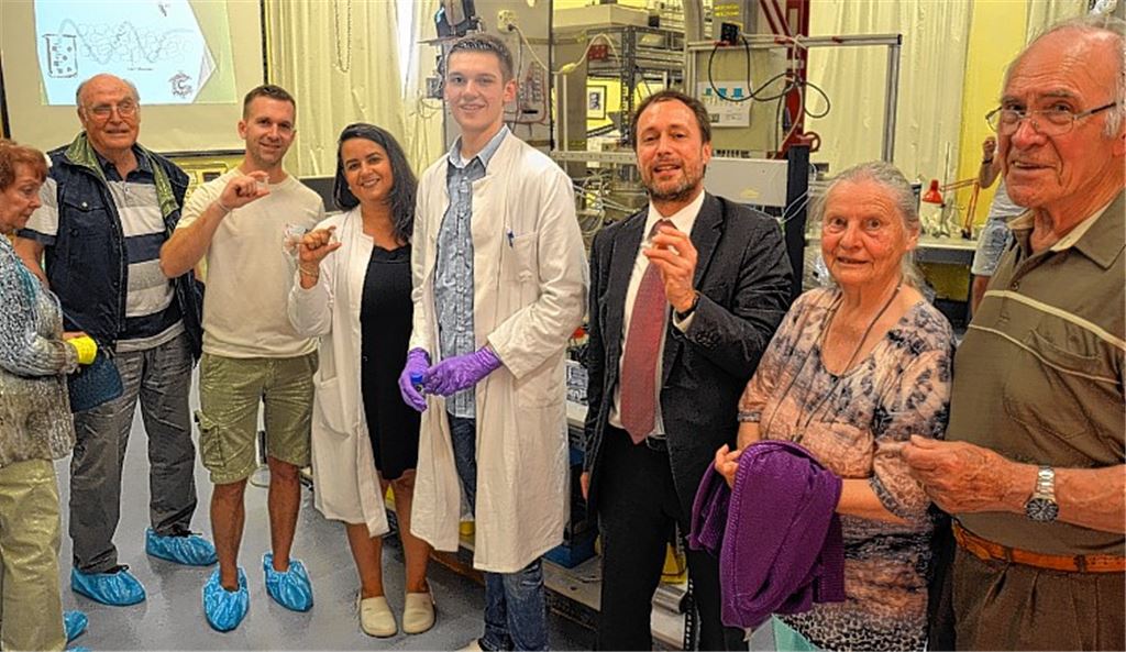 Einblicke in die Misteltherapie