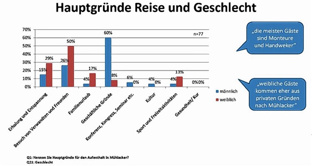 Interessante Studie: Während die meisten männlichen Übernachtungsgäste in Mühlacker auf Geschäftsreise sind, kommen die weiblichen Besucher eher aus privaten Gründen.Grafik: privat
