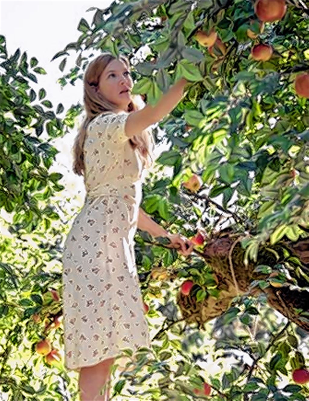 Iris und ihr nicht alltägliches Erbe.