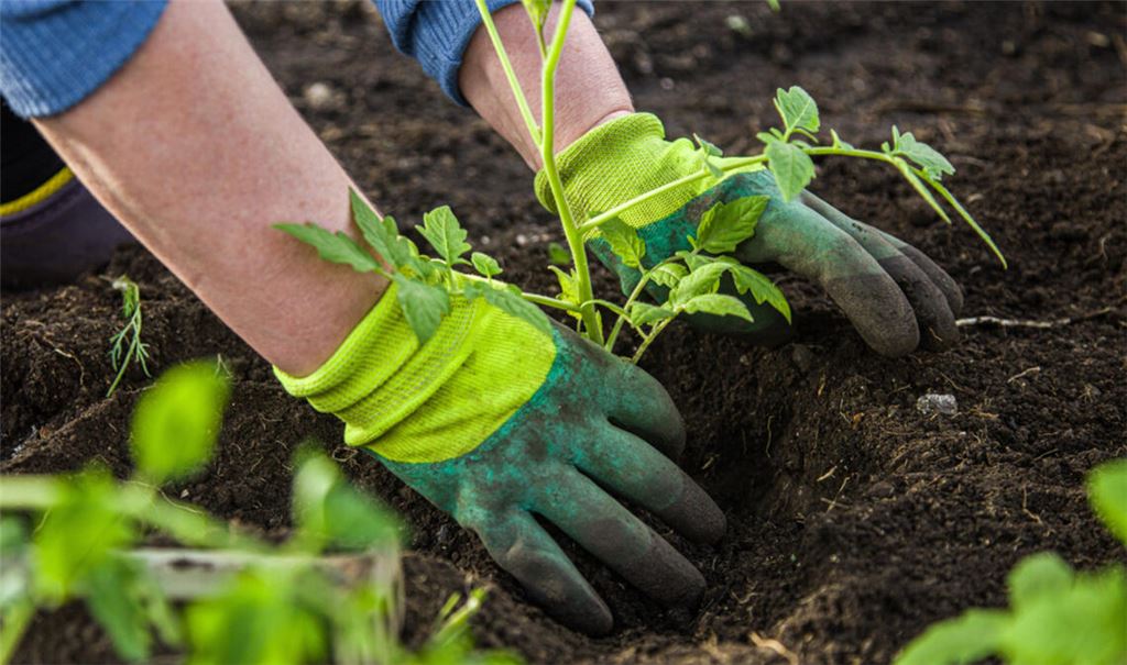 Ist Gartenarbeit erlaubt am Pfingstmontag?