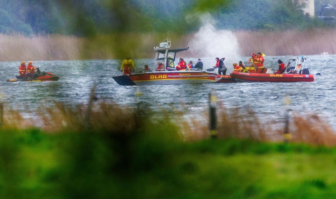 Ist der Wal desorientiert - oder will er in flaches Wasser?