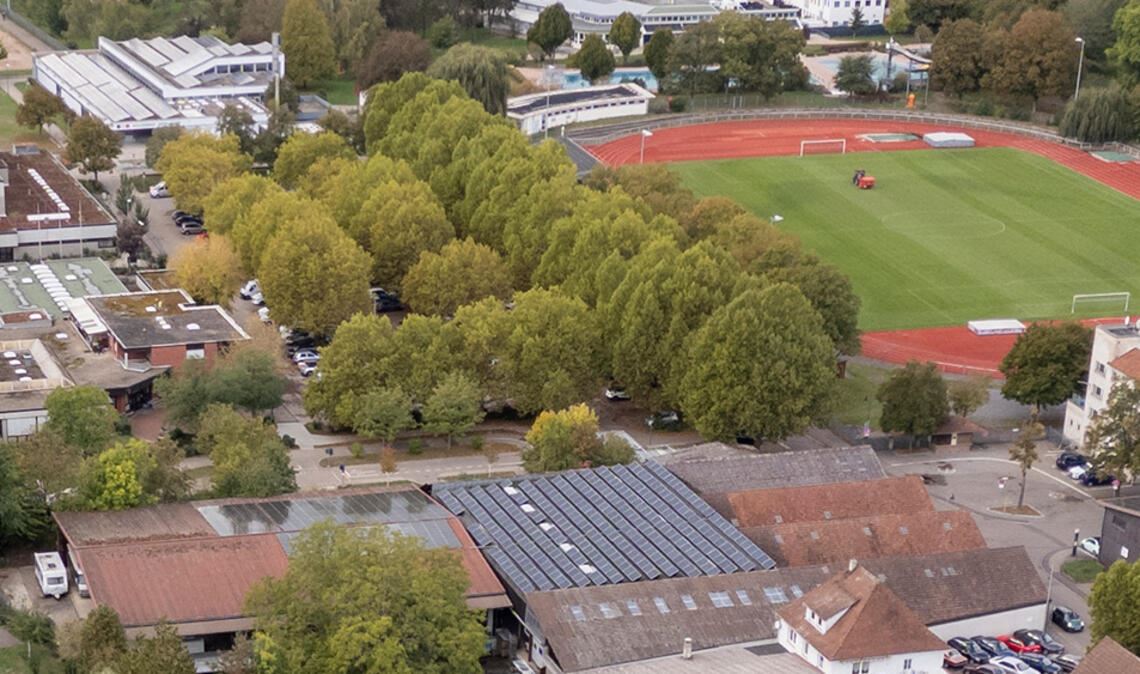Ist seit diesem Monat in Betrieb: die Photovoltaik-Anlage auf dem Theodor-Heuss-Gymnasium. Foto: Fotomoment