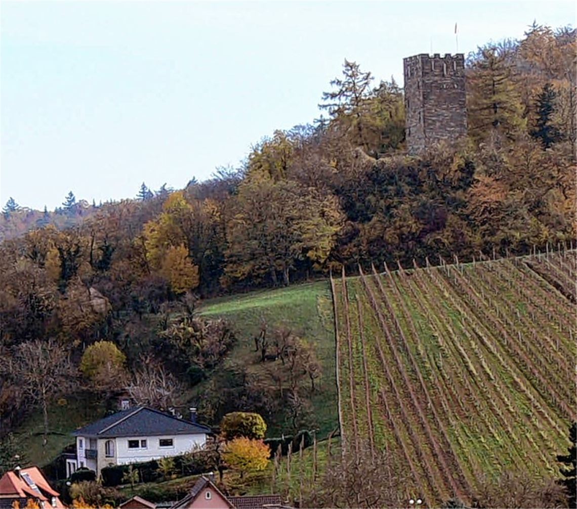 Ja-Wort mit Aussicht? Der Gemeinderat hält das für eine reizvolle Idee.