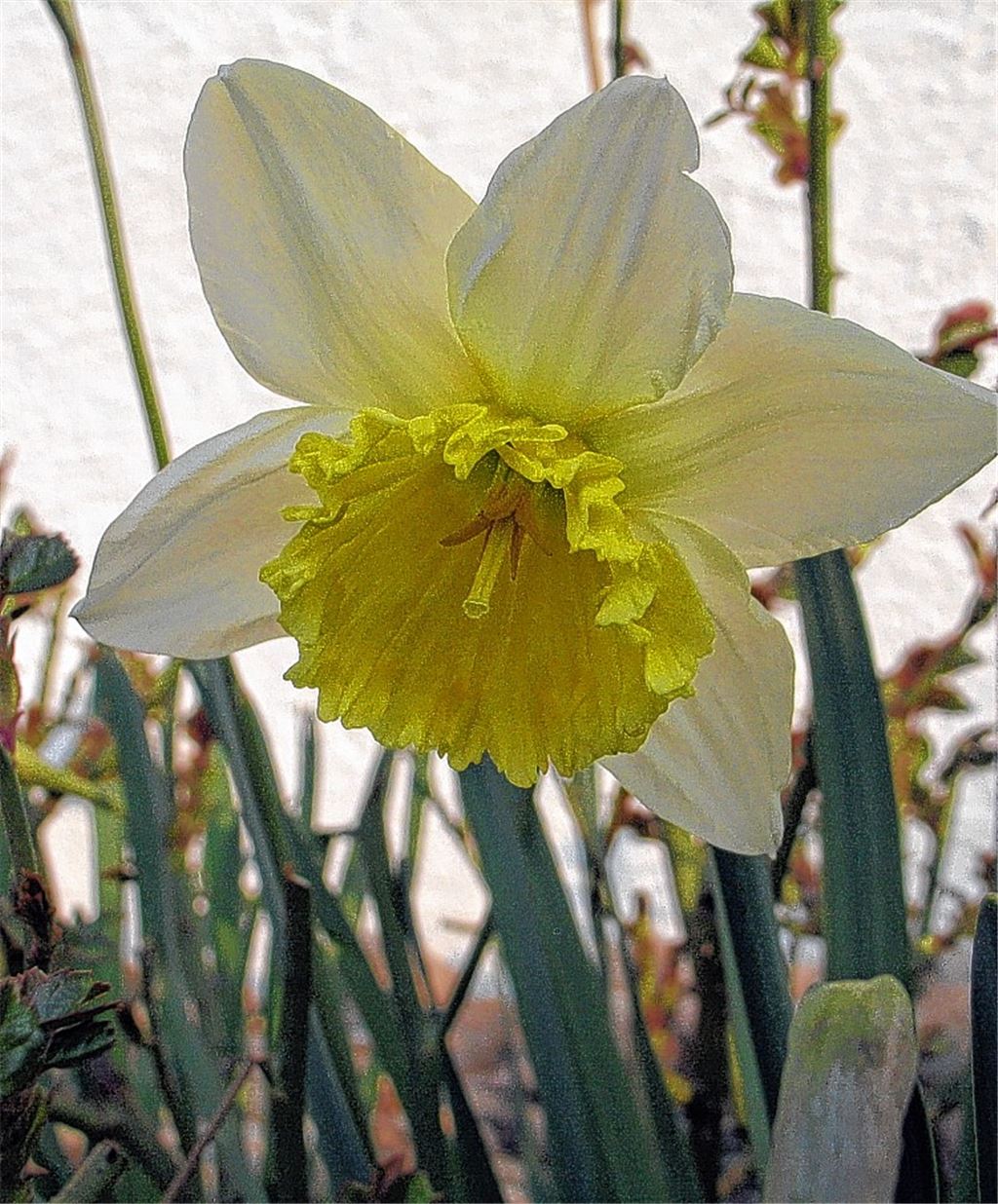 Ja, ist denn schon Ostern?