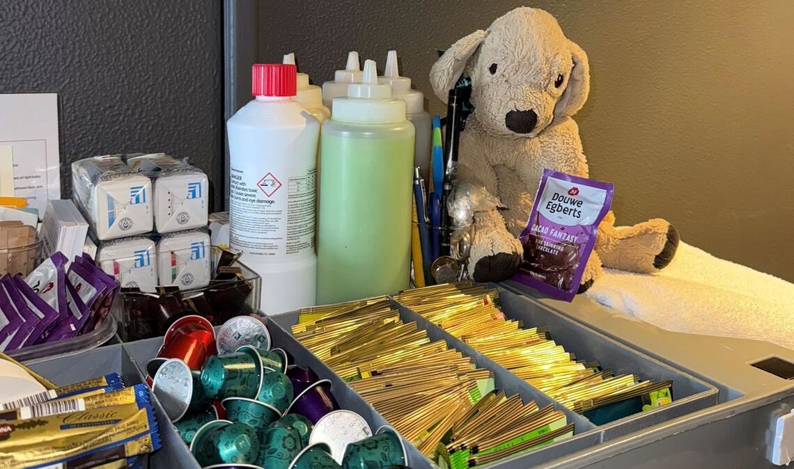 Jack ist ein Tausendsassa und macht sich den Hotelmitarbeitern zufolge überall nützlich.