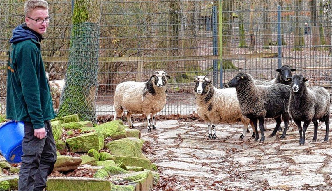 Das Gegenteil von null Bock