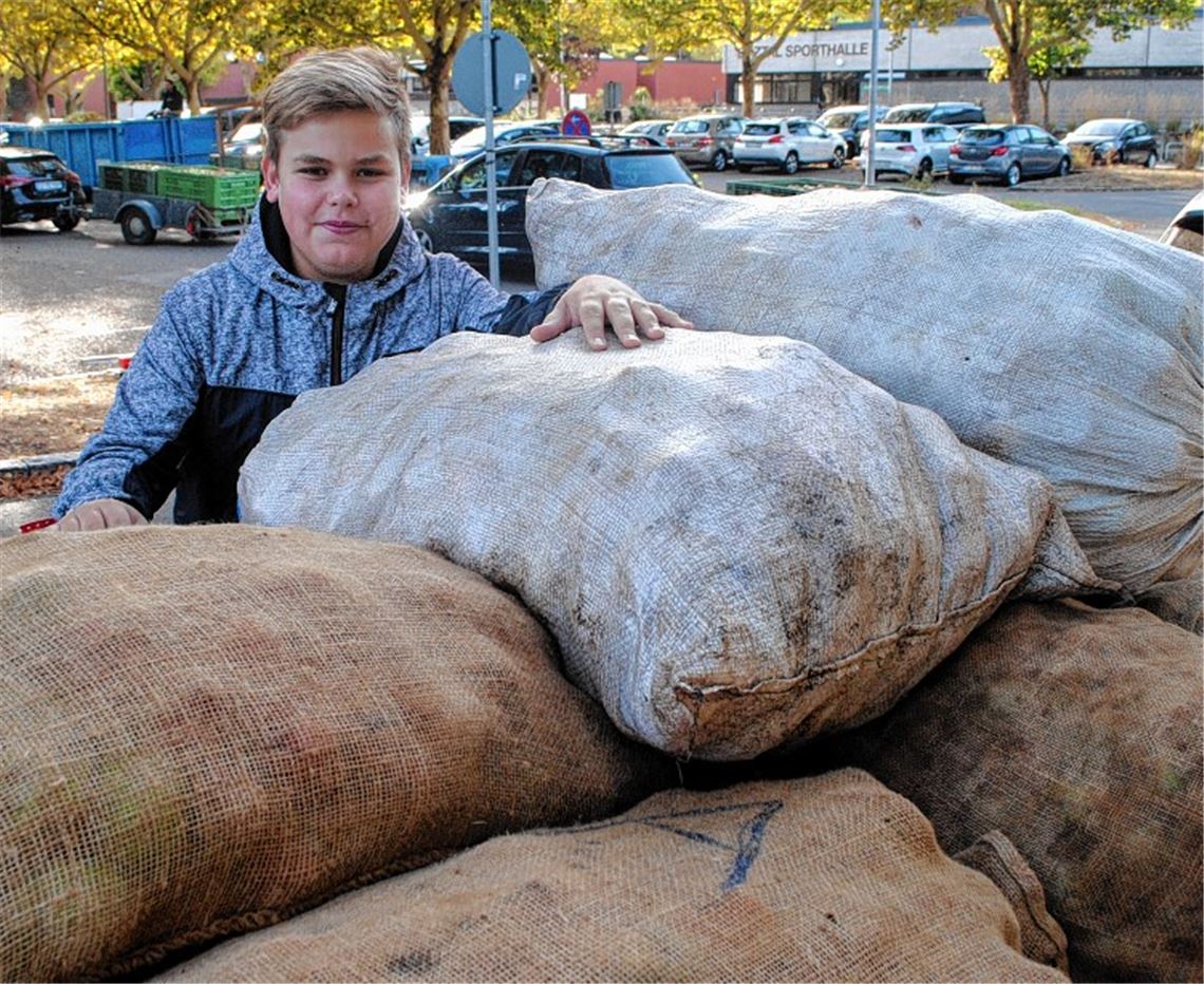 Rekordernte macht sich bemerkbar