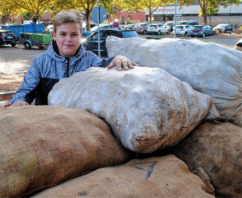 Rekordernte macht sich bemerkbar