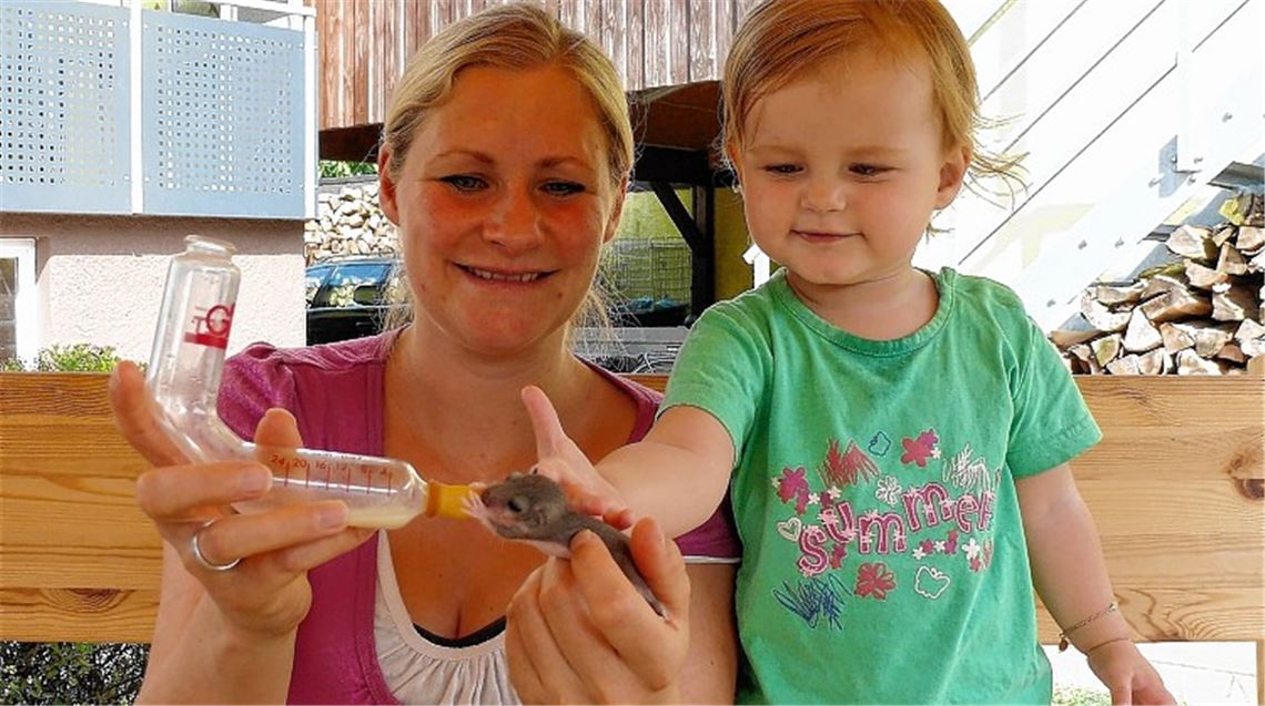 Starthilfe für drei kleine Nager